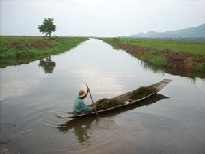 Pescador en uno de los canales del lago