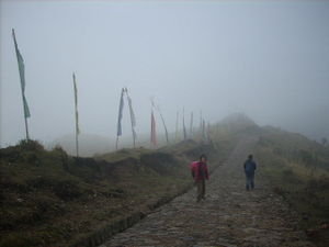 Caminando entre la niebla