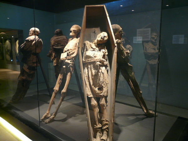 Museo de las momias