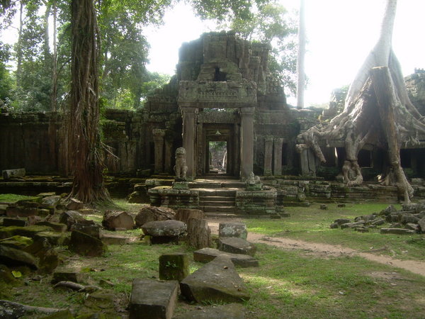 Jungle Temple