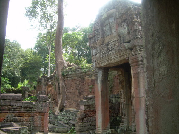 Jungle Temple 5