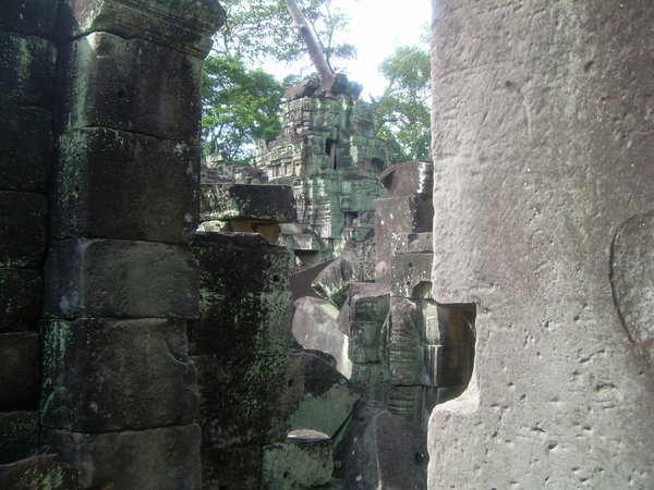Jungle Temple 6