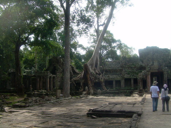 Jungle Temple 10