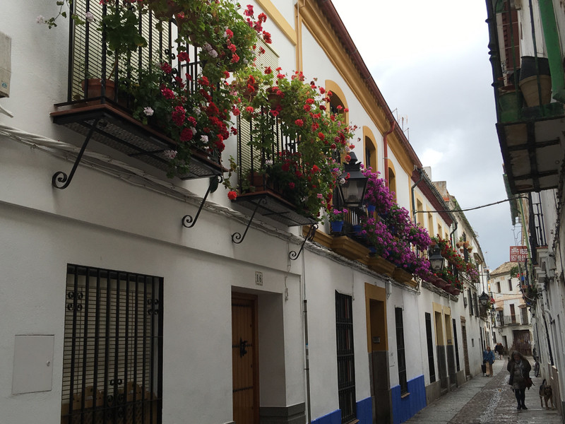 Flower lined balconies Córdoba 