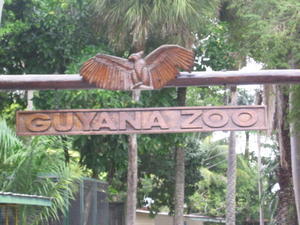 Guyana Zoo