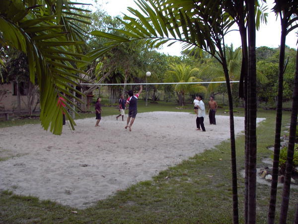 Volleyball