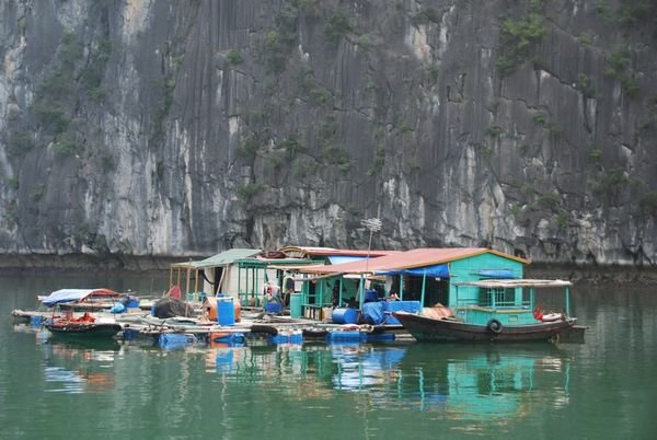 Floating communities living in Halong Bay