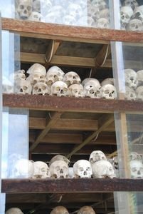 Shelf after shelf of skulls
