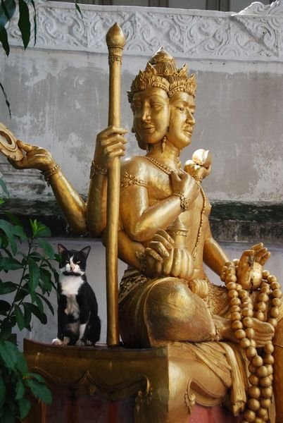Statue and Cat
