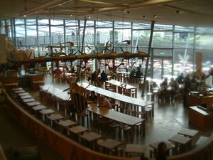 cafeteria at Eden