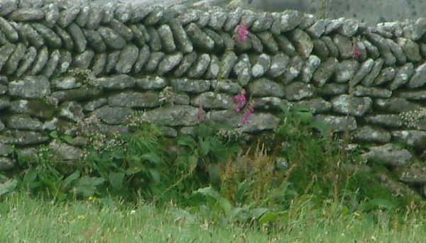 Stone wall on Bodmin Moor