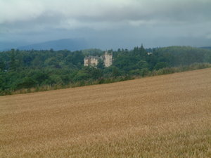 Cornfields outside Stirling