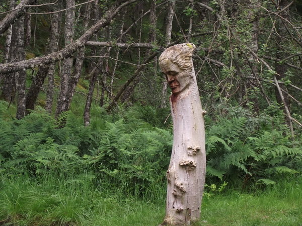 wood sculpture , Glen Feshie