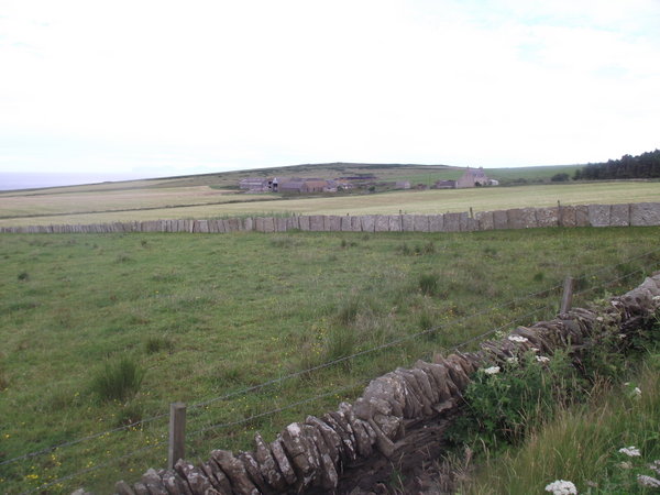 Caithness walls and stone flag fences