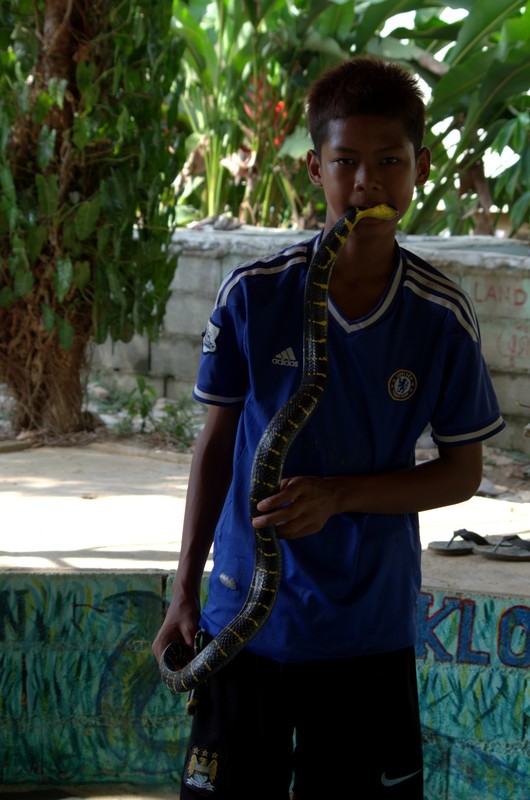 Boy Snake Master