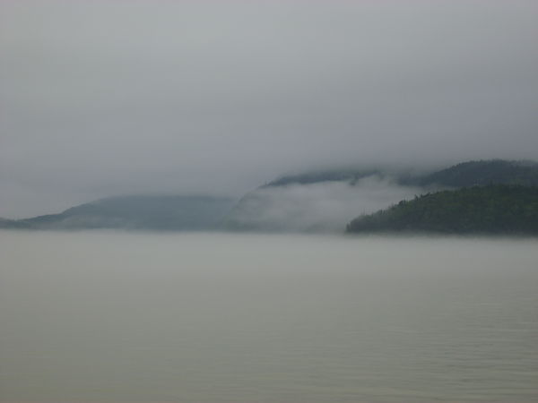 Misty Alaskan Coastline