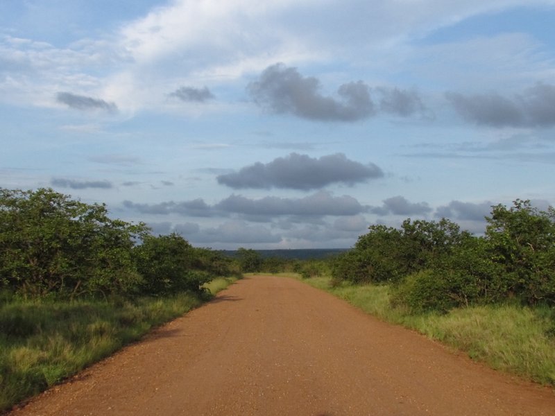 Dirt road for a game drive