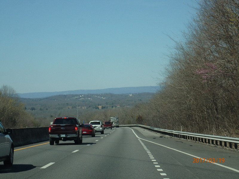 route 81