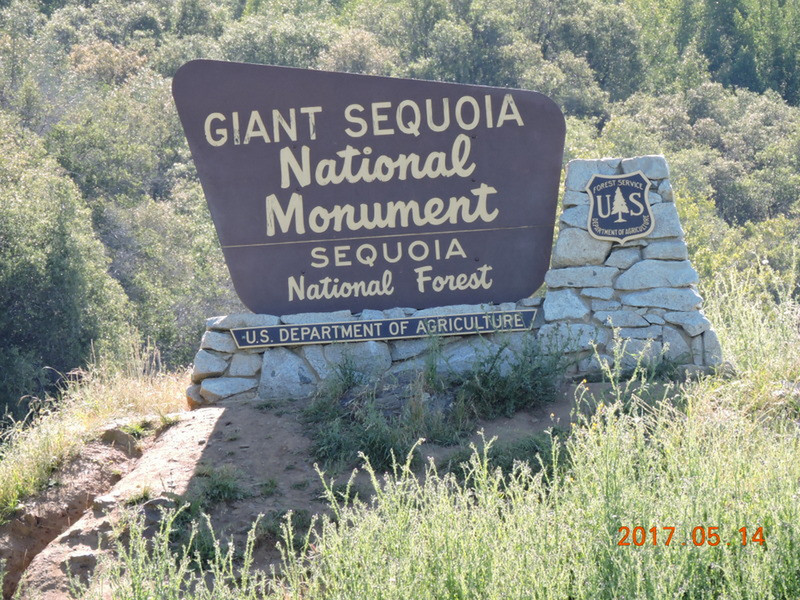 Sequoias Géants
