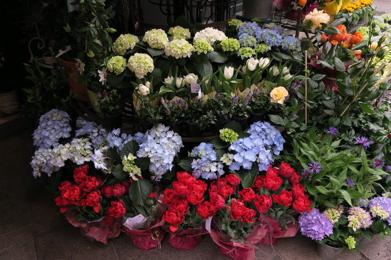 Flower shop on St Stephens Platz. 