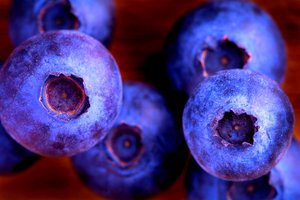 Blue crop berry