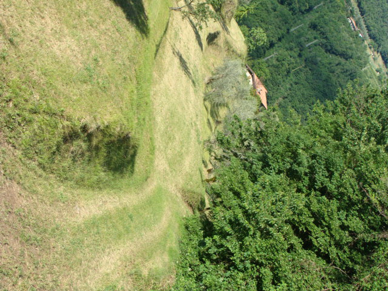 One of the numerous trails around Tremosine