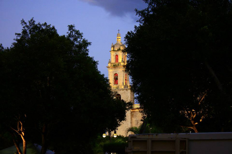 La Catedral de San Ildefonso from the park.