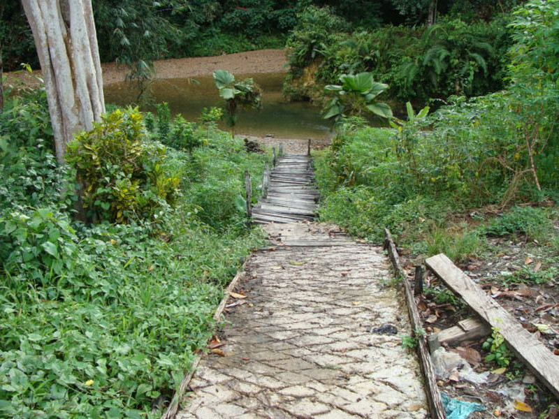  The way to the river