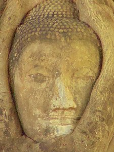 The head of Buddha, Wat Mahathat