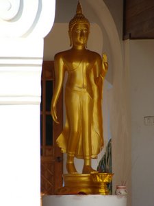  Golden Buddha