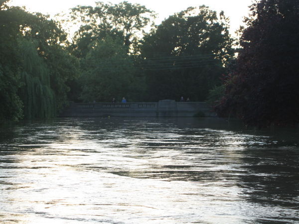 . . .Duck Pond After Flood