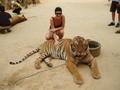me with tiger