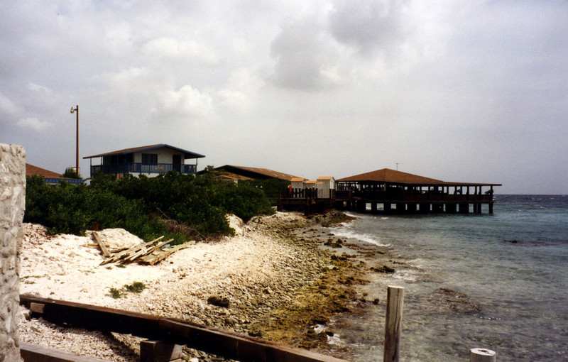 Aruba Vacation (6)