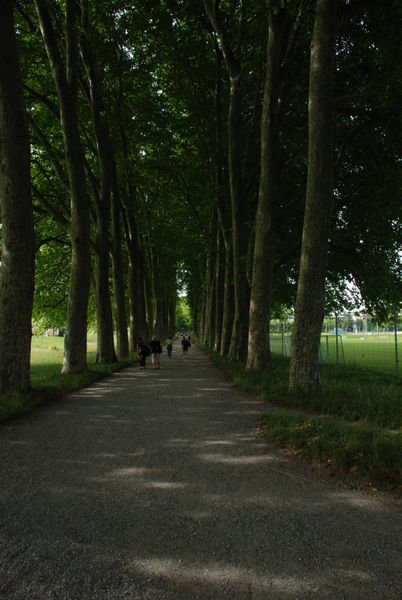 walkway in Lausanne