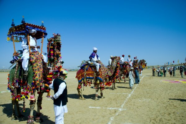 camel decoration