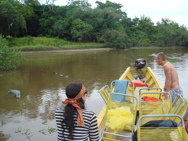 Swimming with pink dolphins, and crocodiles (look to the left of the boat)