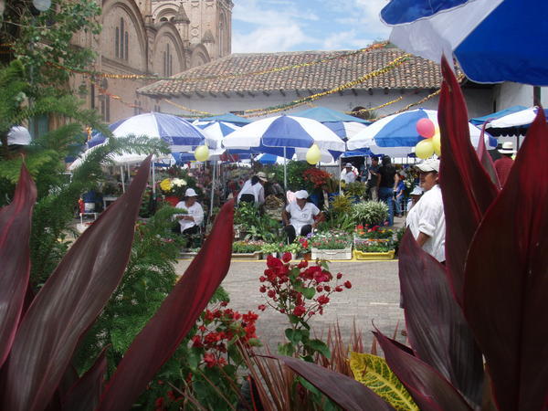 Cueca Flower Market