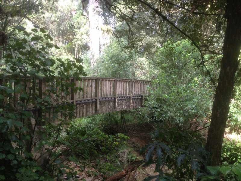 Waitomo Walkway