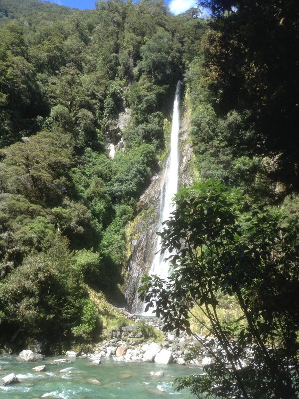 Thunder Creek Falls on Haast Pass