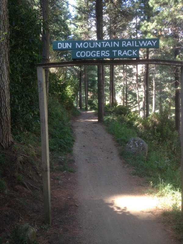 Old Codger's MTB Park in Nelson