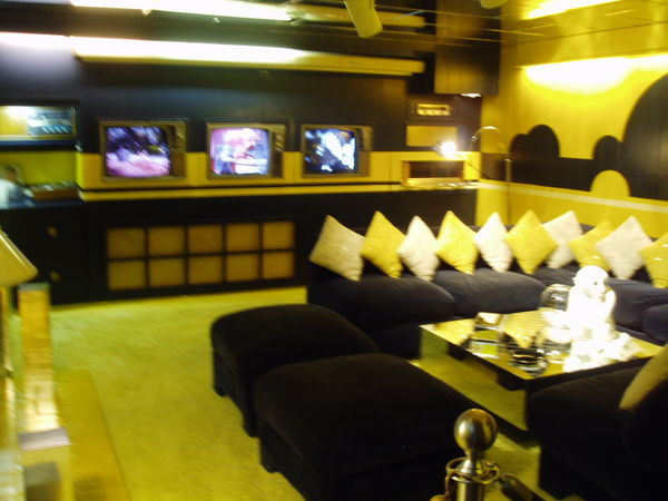 Elvis's bar and TV area