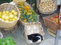 Local produce at Monterossa