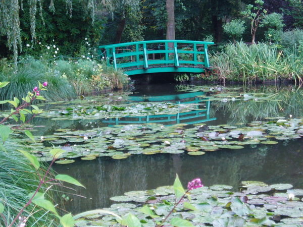 Bridge and waterlillies