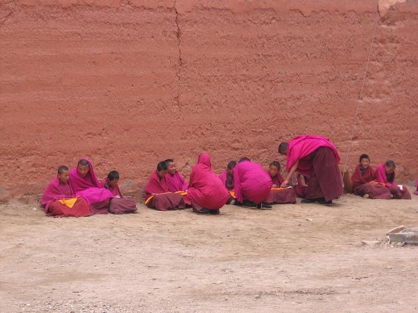 kids becoming monks