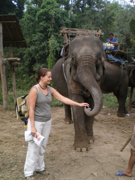 Chiang Mai (Trekkingtour) - unser Elefant "Puh"