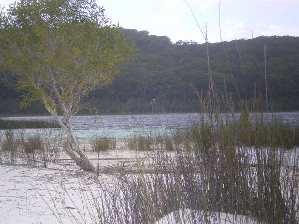 Fraser Island - Lake McKenzie