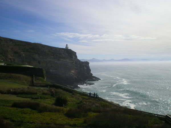 Otago Peninsula - Lighthouse