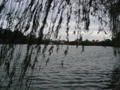  ... in Hoan Kiem Lake