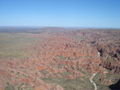 Bungles from above