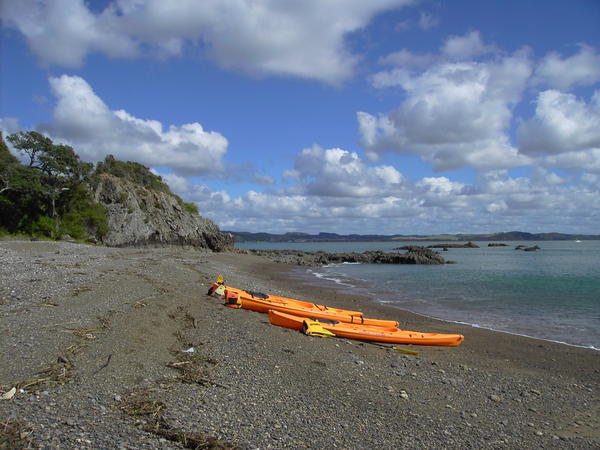 Bay of Islands - Kayaking